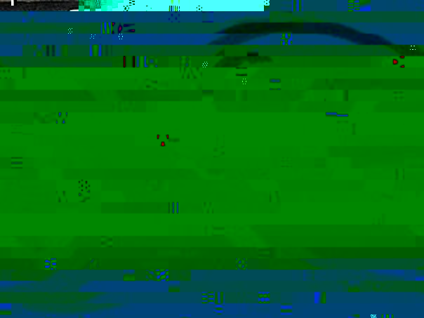 1441712827.jpg