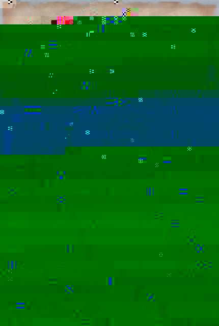 431933621241007169mirtr.jpg