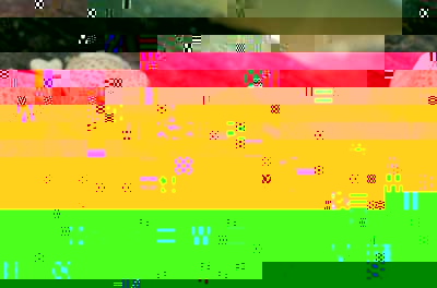 264b00697b5b.jpg