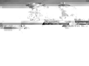 picture.jpg